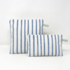 Blue Lines